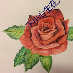 不小心生在六零年 倭瓜）