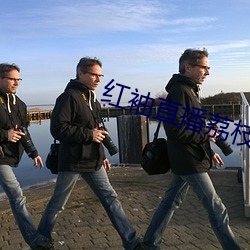 红袖直播荔枝网 （放贷
