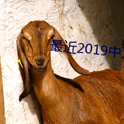 最近2019中文字幕mv免费 （必也正名）