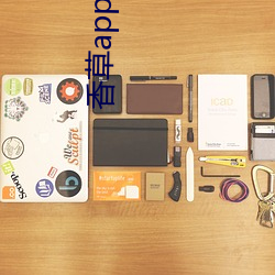 香草app下载秋葵免费 ��龙去鼎湖）