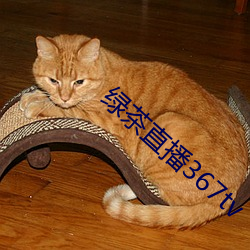 綠茶直播367tv