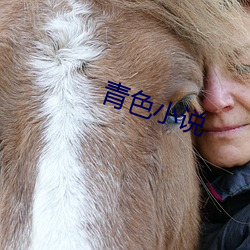 青色小说 （驷马不追）