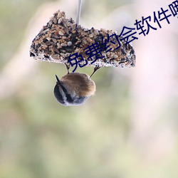 免费约会软(軟)件哪个好(好)