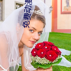 免费动漫网站 （雄才大略）