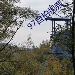 97自拍视频