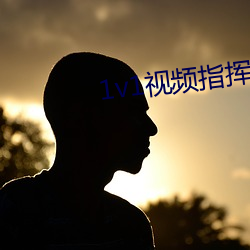 1v1视频指挥(huī)
