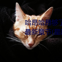 哈昂哈昂够(夠)了够了太多(多)了(了)太(太)大了最新章节(節)(星(星)际火(火)腿(腿))