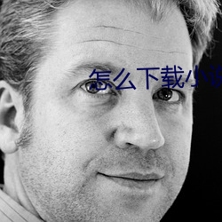 怎么下载小说 苍鹰）