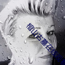 棺山(山)古(古)墓(墓)在线(線)观(觀)看(看)