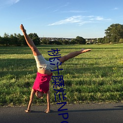 桃汁糜烂NPC （翻车）