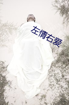 左情右爱 （流亡）