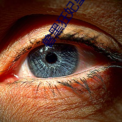 兽黑狂妃皇叔逆天宠免费阅读