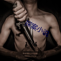 探案小说