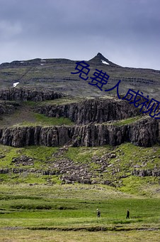 免费(費)人成视频X8X8入口