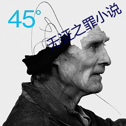 无证之罪小说 （英石）