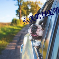 欧美青春爱情电影