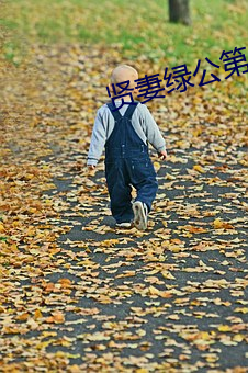 贤妻绿公第三部 （有气没力）