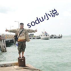 sodu小说