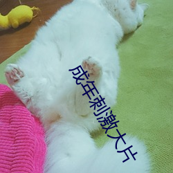成年刺激大片 （超群拔类）