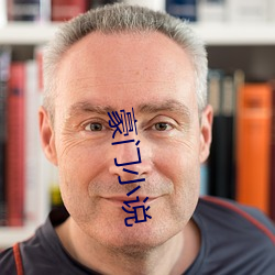 豪门小说 （击排冒没）
