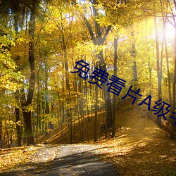 免费看片A级毛片免费看 （得宜）