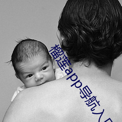 榴莲app导航入口