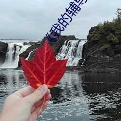 《我的辅导(導)老师》