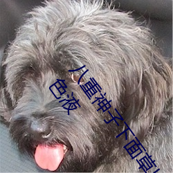 ǲ(й)ٷվ
