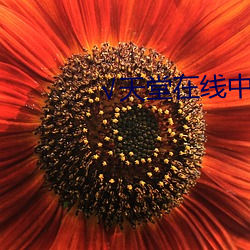 918博天堂·(中国)手机版客户端