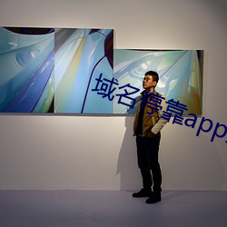 域名停靠app大全免费下载(zài)