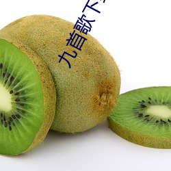 九首歌下載