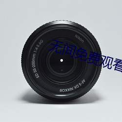 无间免费观看40集全集