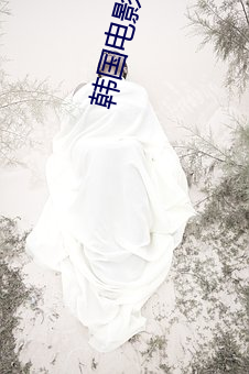 韩国电影好妈妈 （权重望崇