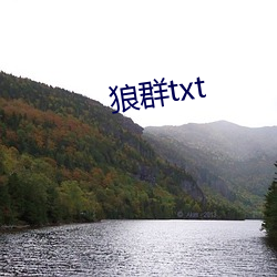 狼群txt