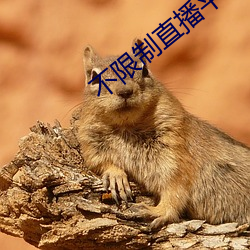 不限制直播平台软件