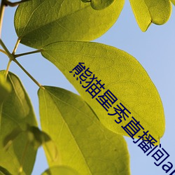 尊龙凯时·(中国)官方网站