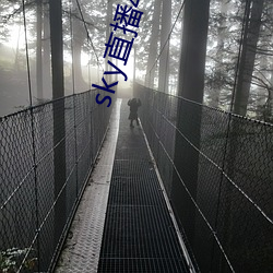 sky直播441tv1对1