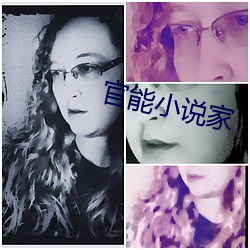 官(guān)能小说家