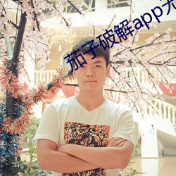 茄子破解app无限看