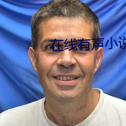 在线有(有)声小说