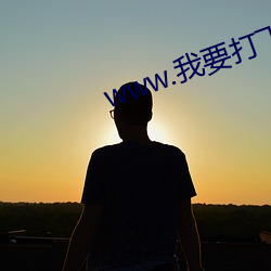 www.我要打飛機