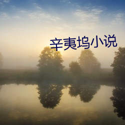 辛夷坞小说