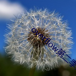 overflow第二季未增删