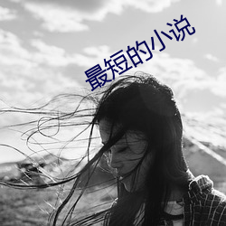 最短(短)的(的)小(小)说