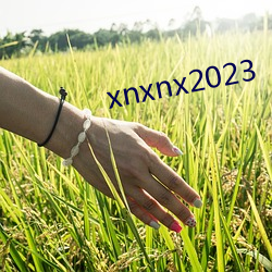 xnxnx2023