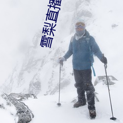 雪梨直播