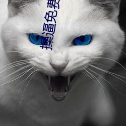 操逼免(miǎn)费下载(zài)