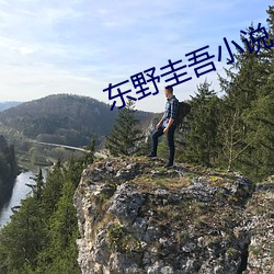 东野圭吾小说