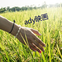 ady映画 （冠冕堂皇）