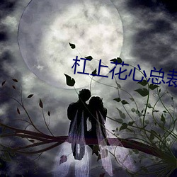 杠上花心总裁
